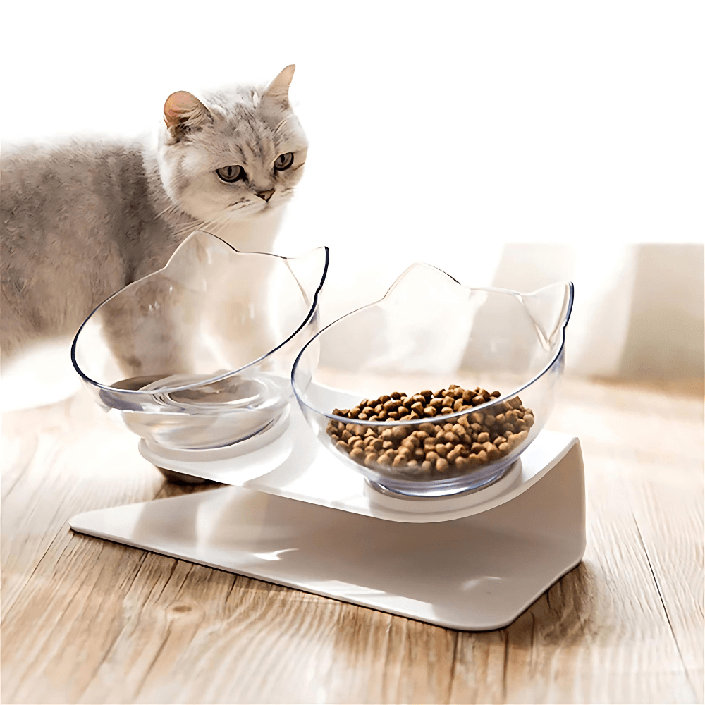 "Non-Slip Double Cat Bowl with Raised Stand - Pet Food Feeder, Protects Cervical Vertebrae, Transparent Dog Bowl"