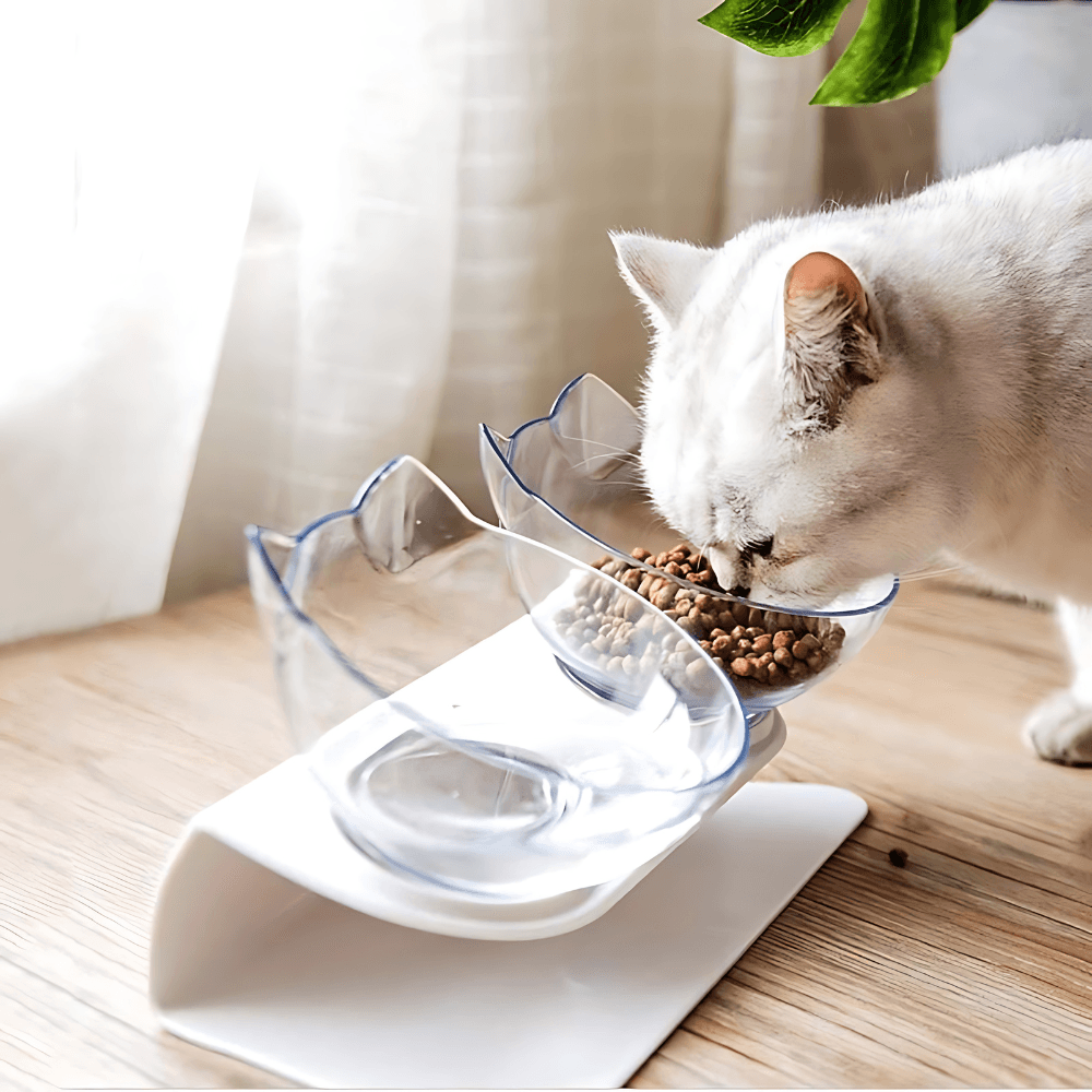 "Non-Slip Double Cat Bowl with Raised Stand - Pet Food Feeder, Protects Cervical Vertebrae, Transparent Dog Bowl"
