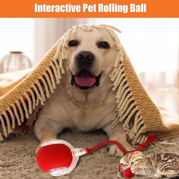 Furr Tastic Rolling Ball