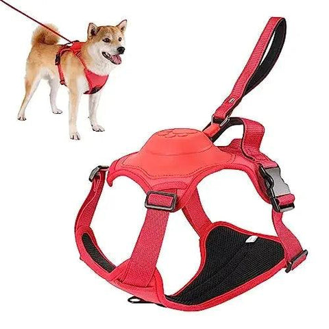 Breathable Harness & Tangle-Free Leash Set 🔥