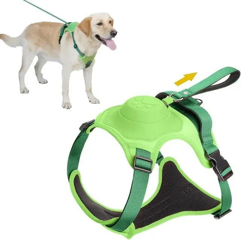 Breathable Harness & Tangle-Free Leash Set 🔥