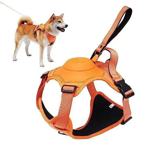 Breathable Harness & Tangle-Free Leash Set 🔥