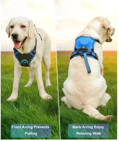 Breathable Harness & Tangle-Free Leash Set 🔥