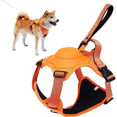 Breathable Harness & Tangle-Free Leash Set 🔥